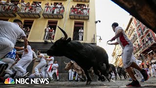 Watch Thousands take part in the running of the bulls in northern Spain [upl. by Artaed241]