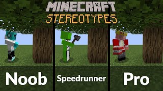 Minecraft Stereotypes 2 [upl. by Nealon]