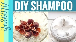 How to Make HOMEMADE SHAMPOO  Reetha SoapNuts DIY Herbal No Poo Hair Care [upl. by Eciral973]