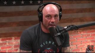 Joe Rogan  Bad Trips Are Beneficial [upl. by Yedrahs601]