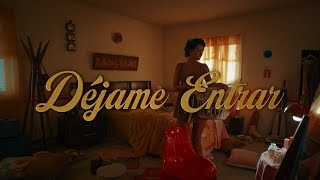 Rauw Alejandro  Déjame Entrar Lyric Video [upl. by Yung]