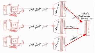 DNS Amplification Attack [upl. by Akimal]