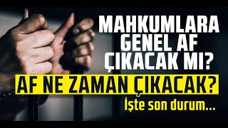 Af mı İnfaz Düzenlemesi mi Geliyor genelaf cezaindirimi infazdüzenlemesi ehliyetaffı af khk [upl. by Nivrae]