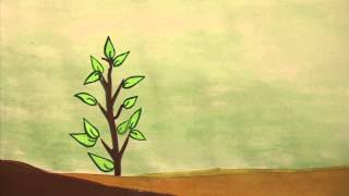 SAVE TREE ANIMATED STORY [upl. by Natanoy]