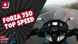 Honda Forza 750 Top Speed [upl. by Ydnik]