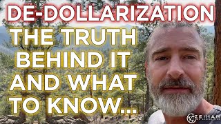 The Truth About Dedollarization and What You Need to Know  Peter Zeihan [upl. by Nob]