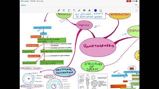 Gametogenesis with Mind Map General Embryology [upl. by Donata]