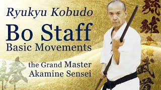 The best Bo Staff Basic  the Grand Master shows you  Ryukyu Kobudo  Ageshio Japan [upl. by Ramoh993]