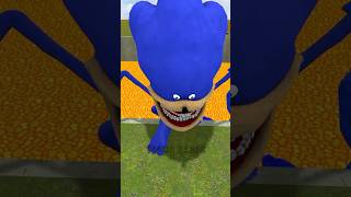 SONIC TAPES or SPONGE BOB TAPES FAMILY vs SPARTAN KICKING BIG HOLE LAVA in Garrys Mod [upl. by Ifok]