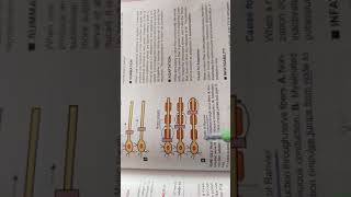 saltatory conduction  cns physiology [upl. by Adlaremse775]