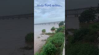 Godavari Rising godavari godavarifloods rajahmundry egdt river [upl. by Rolfe]