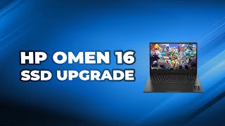 How to Easily Perform an HP Omen 16 SSD Upgrade [upl. by Jaimie919]