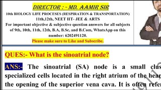 What is the sinoatrial node [upl. by Hahsi]