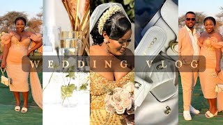 WEDDING VLOG  NDEBELE TRADITIONAL WEDDING  FRIENDS WEDDING  IDWENDWE LOMNGANI WESBHAKELA [upl. by Eintirb251]