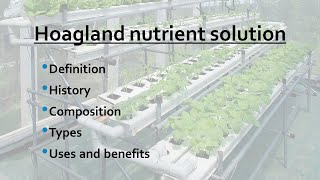 Hoagland nutrient solution  Hoagland culture solution  AZ Concepts guide [upl. by Mckenzie]