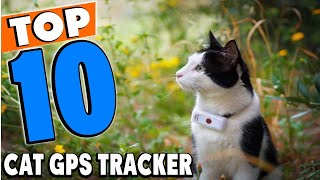 Top 10 Best Cat GPS Trackers Review In 2024 [upl. by Babbette198]