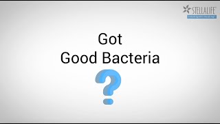 Got Good Bacteria [upl. by Valaria]