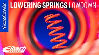 Lowering Springs Everything You Need to Know  Eibach x Demon Tweeks [upl. by Lewap]