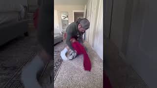 Cleaning the house world record😂😂 shorts funny [upl. by Johathan911]