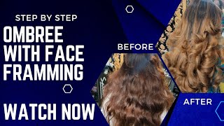 Hand Painted Ombre Technique with Face Framming  Dark to Blonde Tutorial [upl. by Dedrick249]