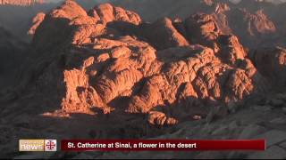 St Catherine at Sinai a flower in the desert [upl. by Koorb870]