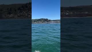 pacificocean oregoncoast depoebay charter dockside sea saltwater fishing viral [upl. by Doy]