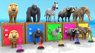 Mammoth Elephant Lion Gorilla Buffalo Guess The Right Key ESCAPE ROOM CHALLENGE Animals Cage Game [upl. by Berl630]