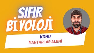 Mantarlar Alemi Sıfır Biyoloji  Dr Biyoloji [upl. by Mellette924]