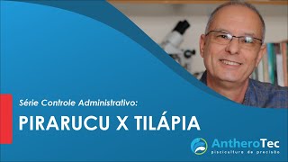 Pirarucu x Tilápia I Série Controle Administrativo [upl. by Galatea]