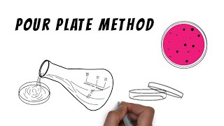 Isolation techniques  Pour plate method [upl. by Einnahpets871]