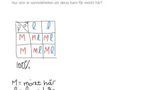 KORSNINGSSCHEMA  genetik [upl. by Siriso]