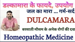 dulcamara homeopathic medicine uses in hindi  Dulcamara 200 Uses in Hindi  Dulcamara 30 in Hindi [upl. by Menedez486]