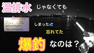 温排水じゃなくても爆釣なのは？知多半島 [upl. by Parthena]