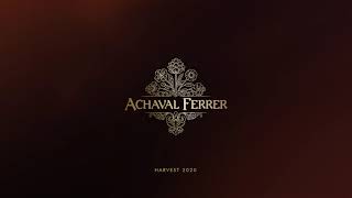 Achaval Ferrer Harvest 2020 [upl. by Ayekram]