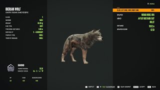 Iberian Wolf  9Diamond  theHunter Call of the Wild 2023 11 02 [upl. by Llehsem]