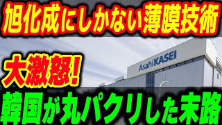 旭化成が開発した最強技術を韓国企業が丸パクリ！特許訴訟の結果…結局日本に頼るしかない現状【その他１本】 [upl. by Magnien]