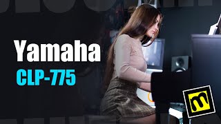 Yamaha CLP775  обзор цифрового фортепиано [upl. by Randee505]