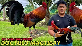 DOC NILO MAGTIBAY  Big Farm Philippines NUM FARM [upl. by Riaj]