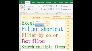 How to filter in Excel Multi criteria by color text filter search multiple items [upl. by Mcconaghy921]