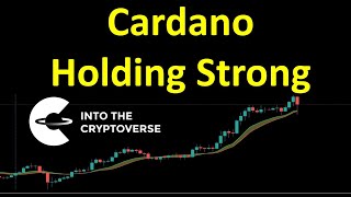 Cardano Holding Strong [upl. by Malvia192]