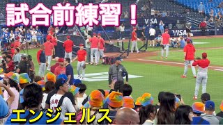 エンジェルス試合前練習！【2番DH・大谷翔平選手】対トロント・ブルージェイズ第1戦ロジャース・センター 7282023 大谷翔平 ohtani エンジェルス [upl. by Aduhey404]