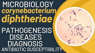 Corynebacterium diphtheriae pathogenesis  Corynebacterium diphtheriae microbiology  Diphtheria [upl. by Skerl]