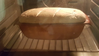 Brot backen mit Sauerteig  für Anfänger  ganz einfach selber machen [upl. by Dagny]