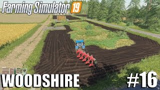 Plowing The Forest  Woodshire Timelapse 16  Farming Simulator 19 Timelapse [upl. by Livy739]