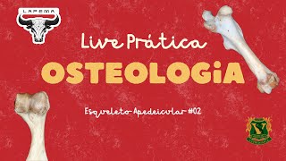 2ª Live Prática de Anatomia Descritiva I 20242 membro toracico [upl. by Savage]