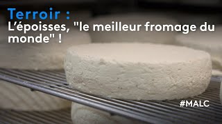 Terroir  lépoisses quotle meilleur fromage du mondequot [upl. by Eentruoc117]