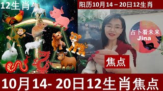 阳历10月14  20日的每个生肖的焦点 成果和宇宙的指引🍀这个视频只发布在Youtube 的我的 Jina占卜看未来频道！ [upl. by Dorn]