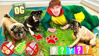 Meine HUNDE entscheiden ALLES in OG FORTNITE 😱🔥 [upl. by Marcus]