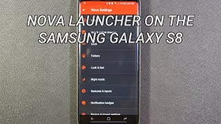 Nova Launcher on the Galaxy S8 [upl. by Ahtnamys]