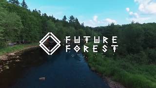 Future Forest Festival 2018 After Movie Trailer [upl. by Alyn39]